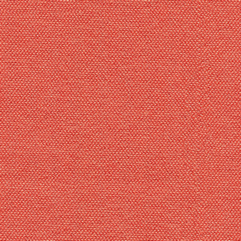 camira-era-cse26.jpg